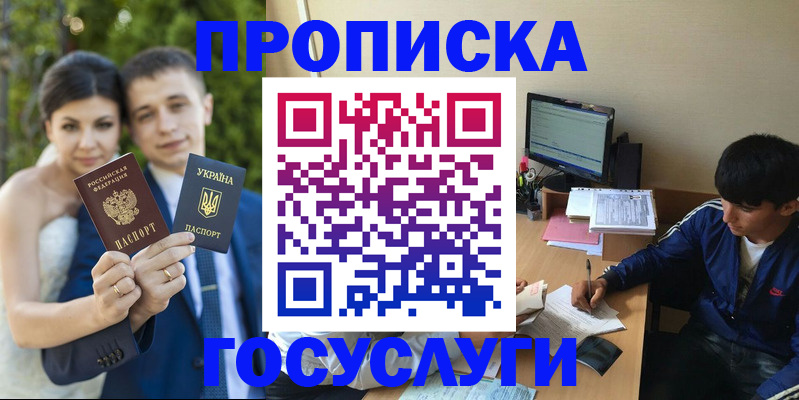 временная регистрация в Жукове